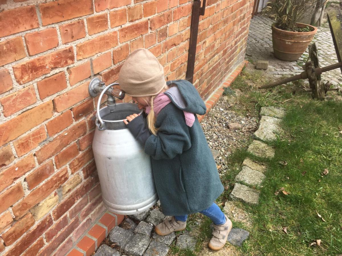Ostseestuev Boiensdorf المظهر الخارجي الصورة