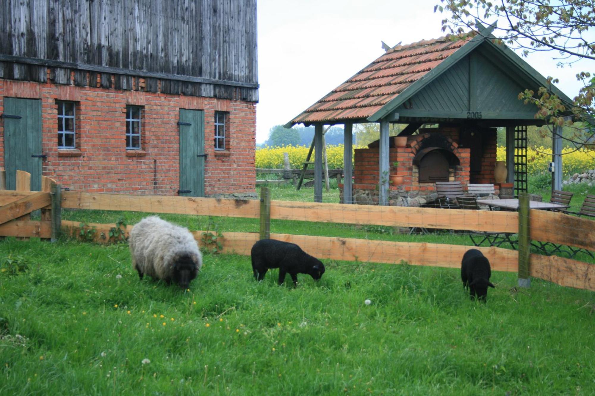 Ostseestuev Boiensdorf الغرفة الصورة
